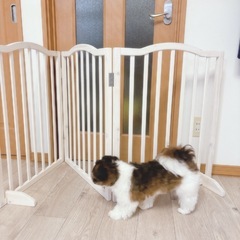 ペットゲート　木製置くだけゲートの画像