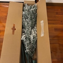 クリスマスツリーの画像