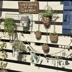 アジアンワイヤーラックの画像