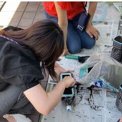 【ベランダ菜園とペットボトルベジの体験会】   12/14(日)    ベランダで無農薬、無肥料栽培で野菜を作る、種まき体験会。自然栽培で自給自足の画像