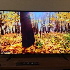 　IRIS OHYAMA 43型4kテレビ　43UB10P  19年式
の画像