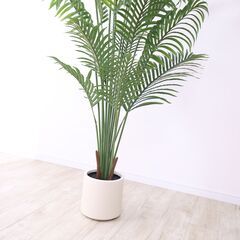 【未使用品】【かなり大型】リアル 光触媒 フェイクグリーン ヤシの木 200cm 鉢付 癒し リゾート おしゃれ 人工観葉植物の画像