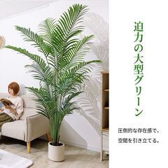 【未使用品】【かなり大型】リアル 光触媒 フェイクグリーン ヤシの木 200cm 鉢付 癒し リゾート おしゃれ 人工観葉植物の画像