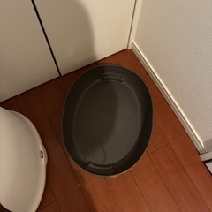 猫用トイレ　ネコ　トイレの画像