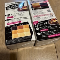 got2b カラーリング剤 ブリーチ剤 BLEACH & METALLICSの画像