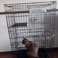 ペットゲージ、キャットゲージ　三段　折りたたみ式の画像