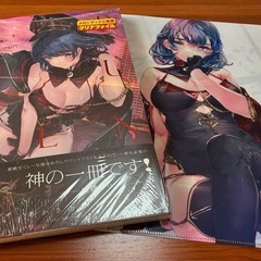 【特典付き・未開封】Red Queen あかさあい作品集 メロンブックス特典クリアファイル付の画像