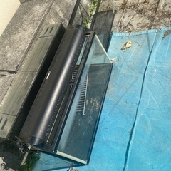 水槽　カメ　うさぎ　魚　ヘビ　肉食　熱帯魚　60センチ　90センチの画像