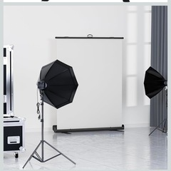 12/12〜12/14に取りに来ていただける方限定‼️スクリーン　の画像