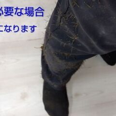 ブロマイド　part-9　名刺の画像