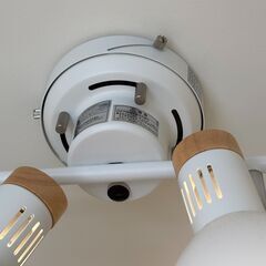 シーリングライト（スポットタイプ）の画像