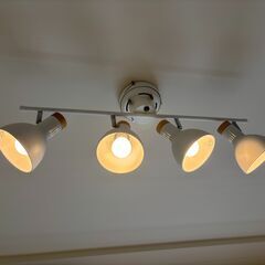 シーリングライト（スポットタイプ）の画像