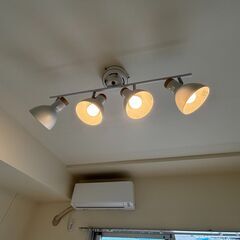 シーリングライト（スポットタイプ）の画像