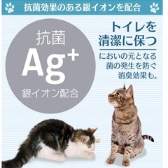 【新品】猫用トイレの画像