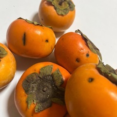 柿　傷あり　12個の画像