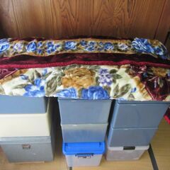 未使用？と思われる　厚手毛布（表地、えび茶・ブルー花柄）　『ETOUL』　アクリル100％　サイズ180×210㎝　【ペットはいません】の画像