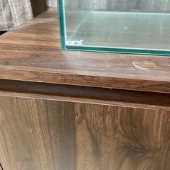 60l 水槽と水槽台　未使用の画像