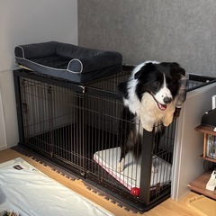 リッチェル　ペットサークル の画像