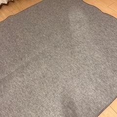 【決まりました】ホットカーペットの画像