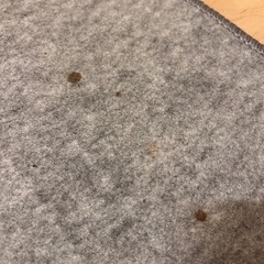 【決まりました】ホットカーペットの画像