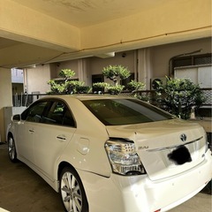 サイ値下げの画像