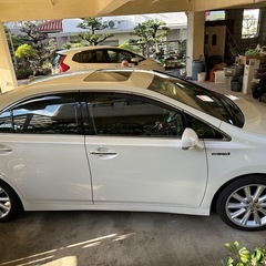 サイ値下げの画像