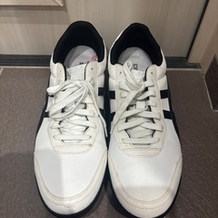 1回のみ使用　asics ゴルフシューズ　28センチの画像