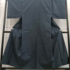 【美品】男性用着物　本場大島紬　100亀甲　正絹【大きい人向け】の画像