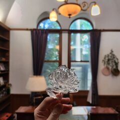 無料恋愛・婚活相談の画像