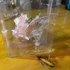 ブラザードフラワープレミアム［ガラス靴　お城スイートピンクギフト　南瓜の馬車］の画像