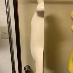 キッズの半身ボディ　中古
の画像