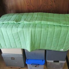 未使用　ふとんシーツ（グリーン）140×190ｃｍ　表地　ポリエステル65％　綿35％　定価￥3980　タグ付き　の画像