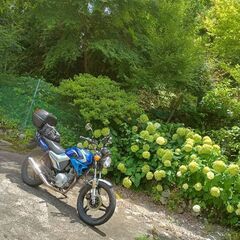 しまなみ海道原付道ツーリングしましょう🏍      〜ツーリング...