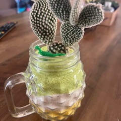 観葉植物　サボテン　多肉植物　多肉　雑貨　の画像