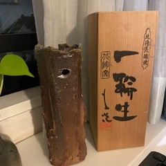 北の大地の力強さ　☆☆　北海荒磯焼　一輪生　☆☆　柱に掛けられますの画像