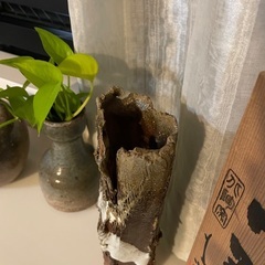 北の大地の力強さ　☆☆　北海荒磯焼　一輪生　☆☆　柱に掛けられますの画像