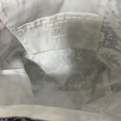 【0円】ペイズリー柄ハンドバッグの画像