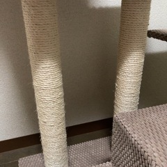 キャットタワーの画像