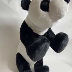超BIGサイズ！🐼ジャイアントパンダの画像