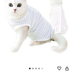 ペットの術後服　3枚セットの画像