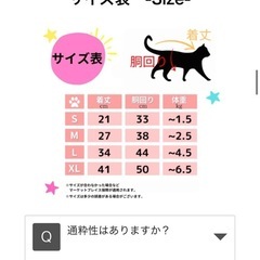 ペットの術後服　3枚セットの画像