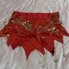 ベリーダンス衣装　セットアップの画像