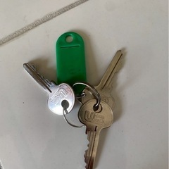 アルミサッシ  勝手口ドア 框ドアタイプ 両開き W1690×H2030 （16920） 2HDの画像