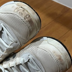 オムニコート用テニスシューズの画像