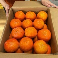 優品】主にMサイズ★岐阜県産★富有柿　10キロ★産地直送★採れたての画像