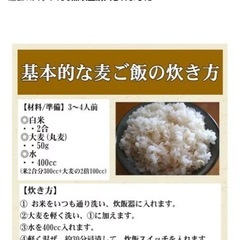 大麦 (丸麦) 国内産 10kg (5kg×2袋)の画像