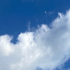 IPhone 11 パネルの画像