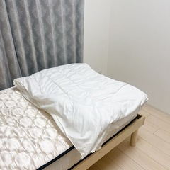 掛け布団　ニトリの画像