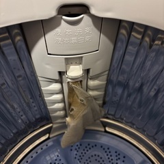 シャープ　全自動洗濯機　6キロの画像