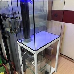 ‼️最終値下げ‼️オーバーフローガラス水槽セットの画像